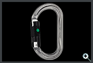 Petzl William M33ABL Carabiner