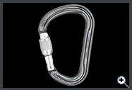 Petzl William M36ASL Carabiner
