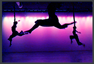 GEAR Cirque Aerial Bungees . Dramatic Aerial Choreography