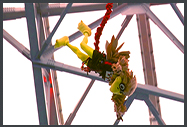 Freddie Falcon . Mercedes-Benz Stadium . Bungee Drop